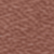 Pumpkin (images upon request)